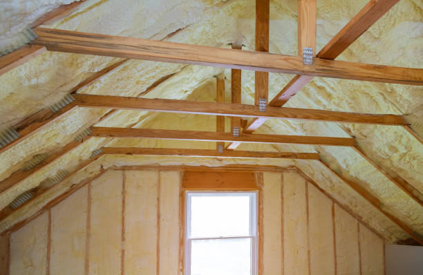 Best Insulation Contractor Near Me  in Fort Calhoun, NE