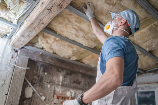 Best Spray Foam Insulation  in Fort Calhoun, NE