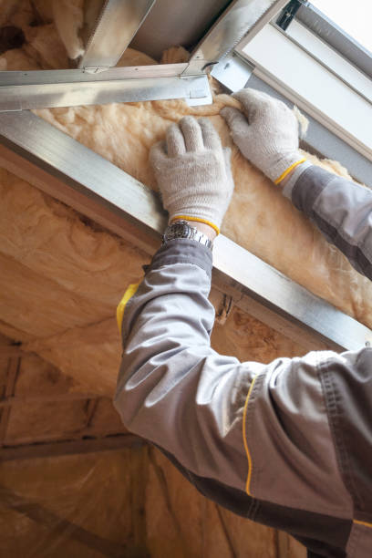 Best Insulation Inspection Services  in Fort Calhoun, NE