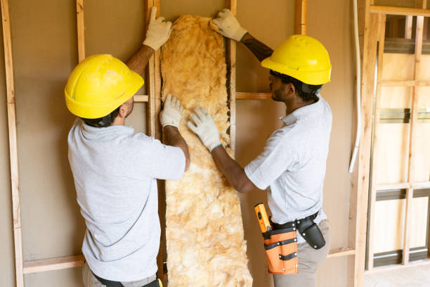 Best Insulation Removal  in Fort Calhoun, NE