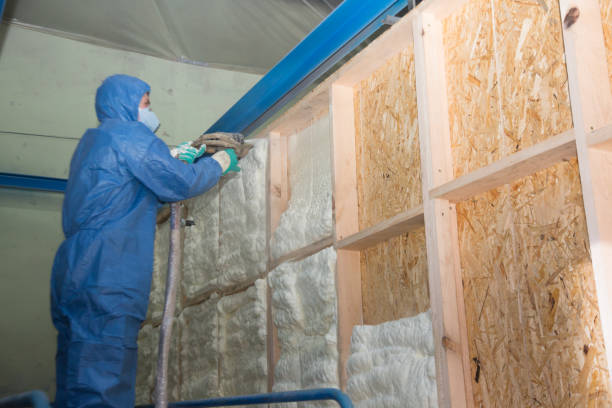 Best Garage Insulation Installation  in Fort Calhoun, NE