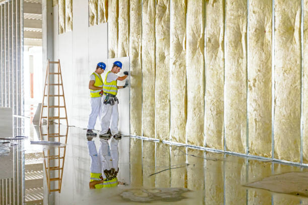 Best Professional Insulation Contractor  in Fort Calhoun, NE